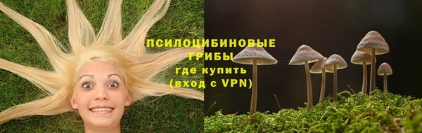стаф Михайловка